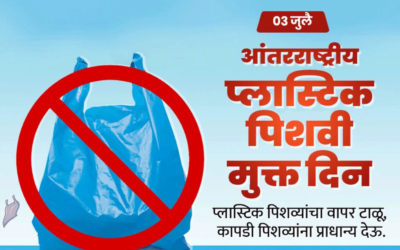 प्लास्टिक किंवा पॉलिथिन पिशव्यांचा वापर मानवी आरोग्यासाठी कसा धोकादायक आहे?