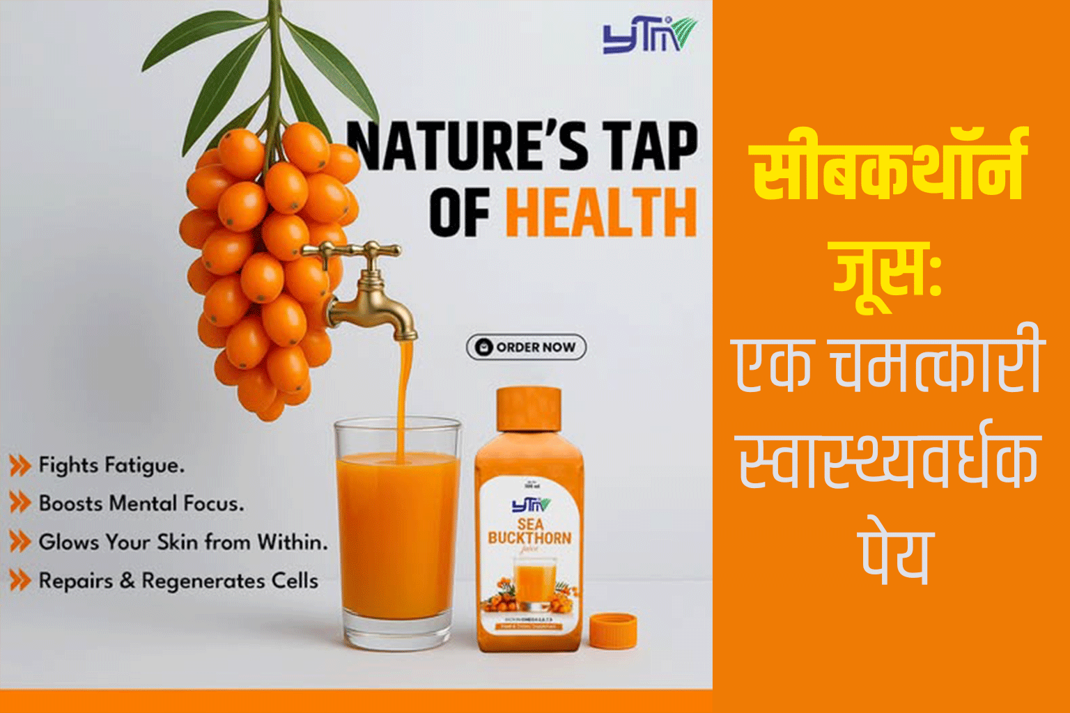 सीबकथॉर्न जूस: एक चमत्कारी स्वास्थ्यवर्धक पेय